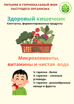 Питание и гормональный фон 2